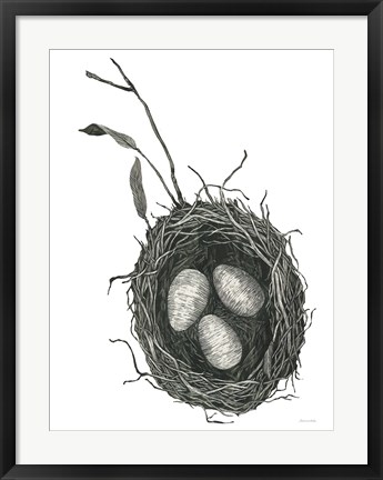 Framed Springtime Nest III Print