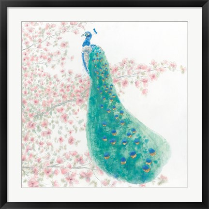 Framed Spring Peacock II Bird Print