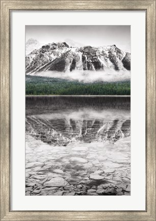 Framed Waterfowl Lake Panel II BW with Color Print