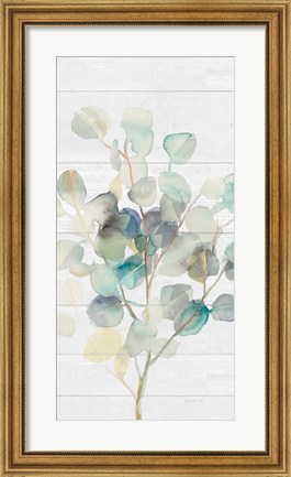 Framed Eucalyptus III on Shiplap Crop Print