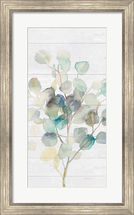 Framed Eucalyptus III on Shiplap Crop Print