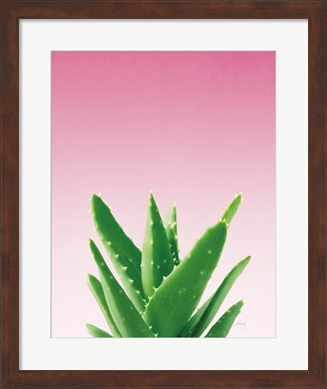 Framed Succulent Simplicity V Pink Ombre Crop Print