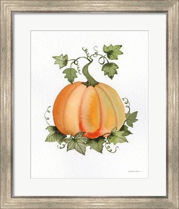 Framed Pumpkin and Vines II Print