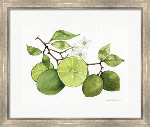 Framed Citrus Garden VII Print
