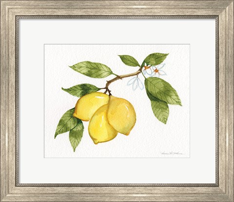 Framed Citrus Garden I Print