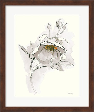 Framed Carols Roses V Off White Print