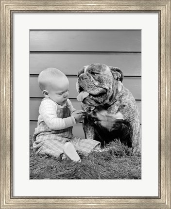 Framed 1950s 1960s Baby Sitting Playing With Bulldog Print