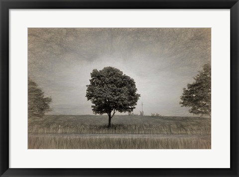 Framed Tree with Rape Field in Springtime Print