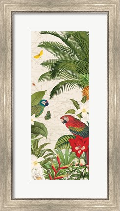 Framed Parrot Paradise VII Print