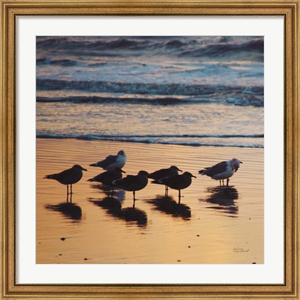 Framed Kalaloch Birds I Print