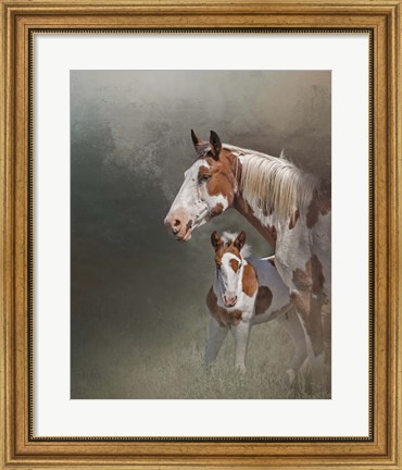 Framed Chinook &amp; Her Foal Print