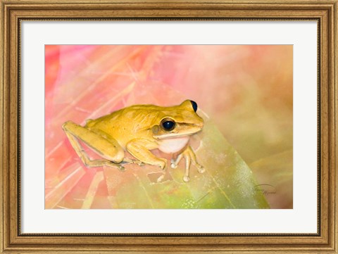 Framed Waiting for Lunch Print