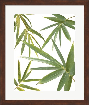 Framed Bamboo Collage Print