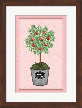 Framed Apple Topiary - Pink Print