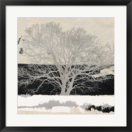 Framed Silver Tree (detail) Print