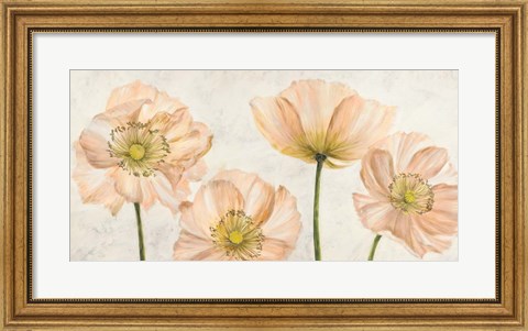 Framed Poppies in Pink Print