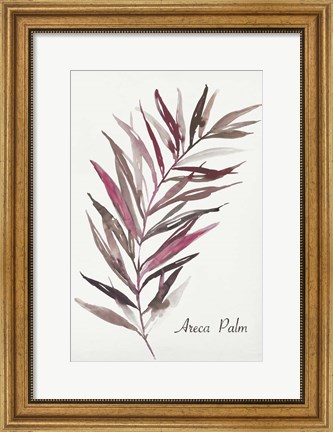 Framed Areca Palm Print
