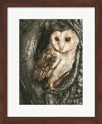 Framed Barn Owl Roost Print