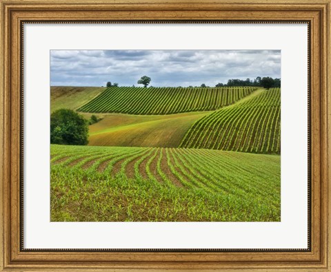Framed Pastoral Countryside VI Print