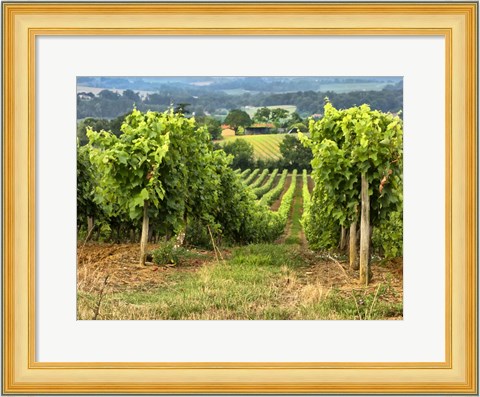 Framed Pastoral Countryside XIX Print
