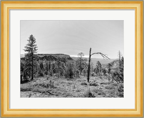 Framed Canyon Lands V Print