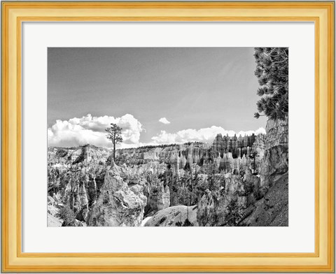 Framed Canyon Lands VI Print