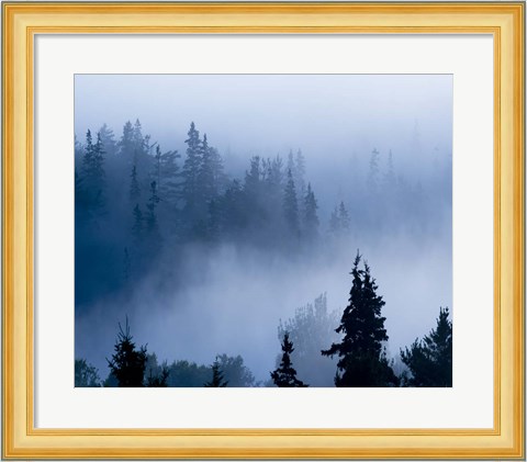 Framed Misty Mountains XV Print