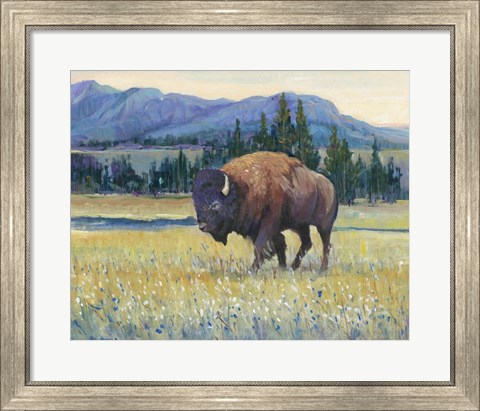 Framed Animals of the West II Print