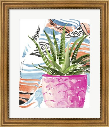 Framed Zebra Succulent I Print