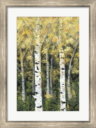 Framed Birch Treeline II Print