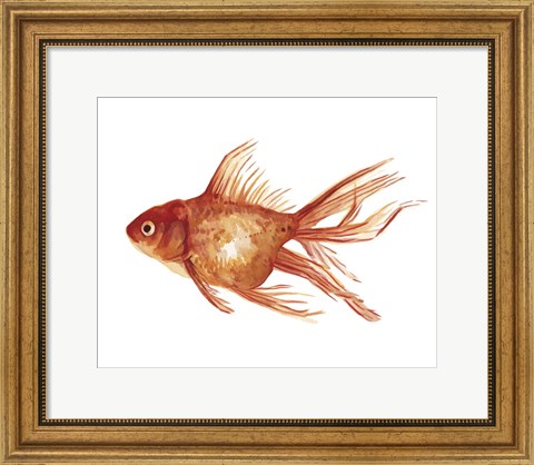 Framed Ornamental Goldfish I Print