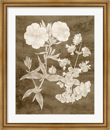 Framed Botanical in Taupe II Print