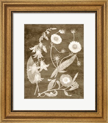 Framed Botanical in Taupe III Print