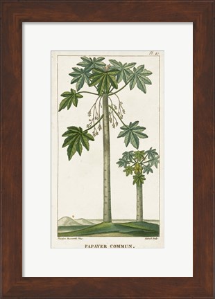 Framed Exotic Palms II Print