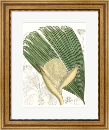 Framed Palm Melange II Print