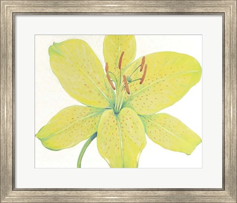 Framed Citron Tiger Lily I Print