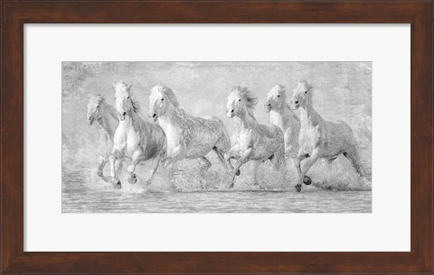 Framed Water Horses V Print