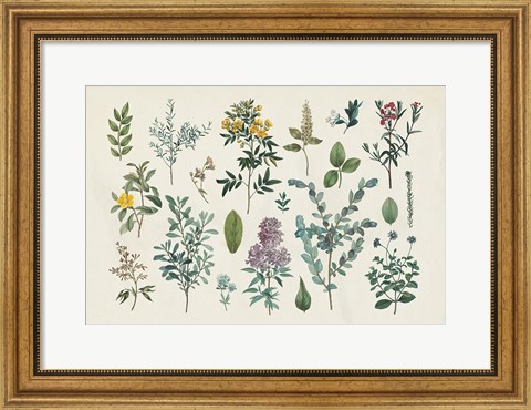 Framed Victorian Garden IV Print