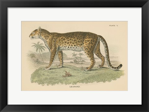 Framed Vintage Leopard Print