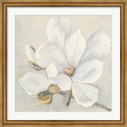 Framed Serene Magnolia Print