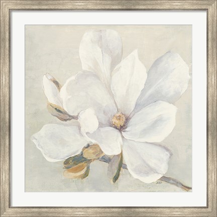 Framed Serene Magnolia Print