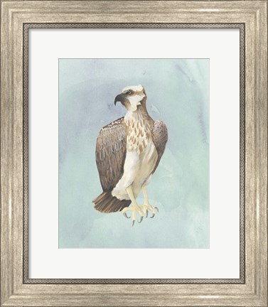 Framed Watercolor Beach Bird IV Print