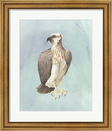 Framed Watercolor Beach Bird IV Print