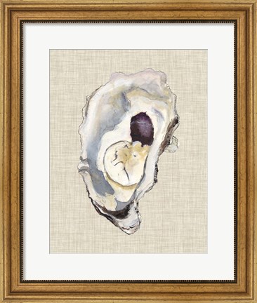 Framed Oyster Shell Study IV Print