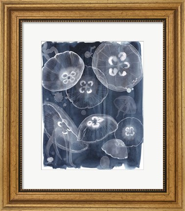 Framed Moon Jellies II Print