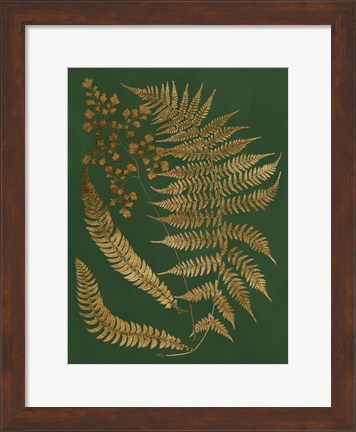 Framed Gilded Ferns I Print