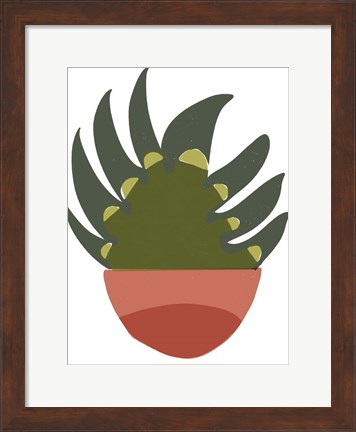 Framed Mod Cactus IX Print