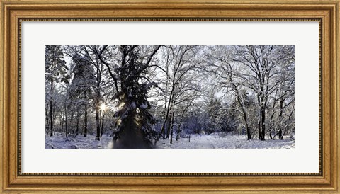 Framed Falling Snow Print