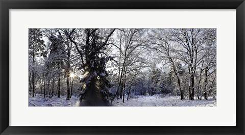 Framed Falling Snow Print