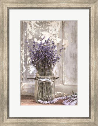 Framed Lavender Bench Print